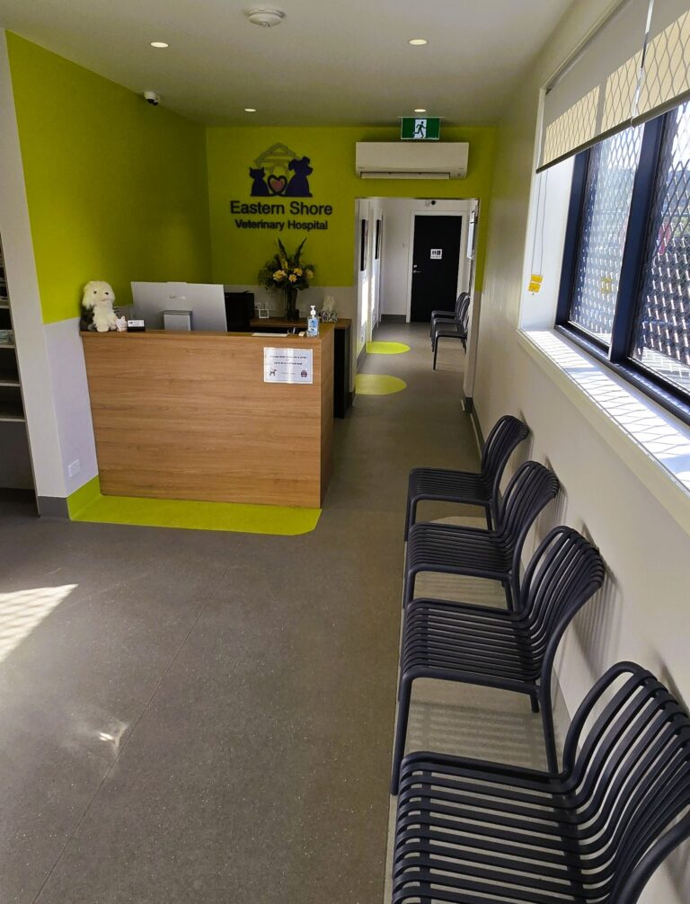 Eastern Shore Veterinary Hospital Modern reception for dogs and cats in Warrane, Hobart, Tasmania